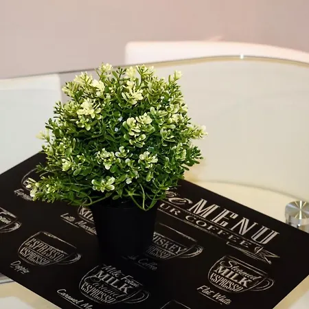 Apartamento Center Ii